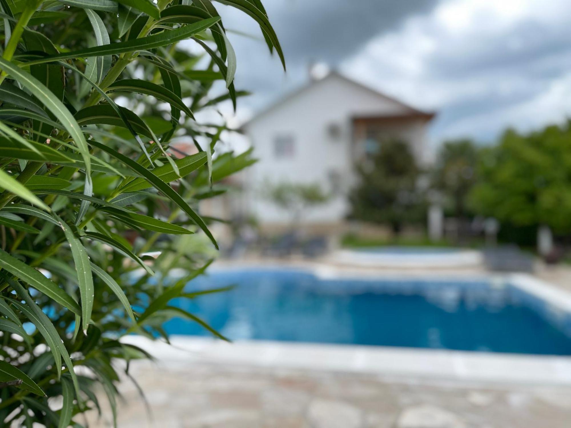 Sunny Apartment With Swimming Pool Stolac Dış mekan fotoğraf